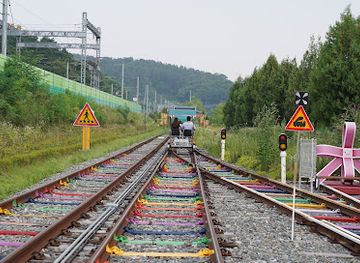 south-korea/jeonju/jeonju-hanok-village/attraction/jeonju-hanok-rail-bike-co