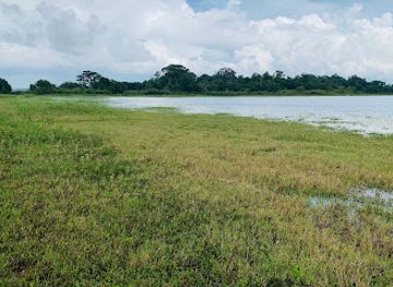 sri-lanka/wilpattu-national-park/attraction/minneriya-national-park