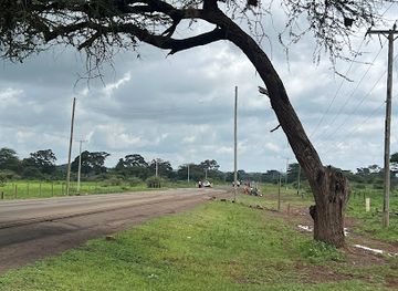 kenya/chyulu-hills-national-park/attraction/kimani-pinch-point-elephant-crossing