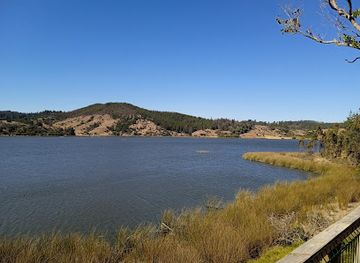 chile/central-valley/attraction/laguna-torca-national-reserve
