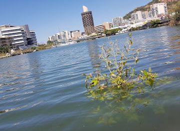australia/southern-queensland/attraction/queensland-museum-tropics-townsville