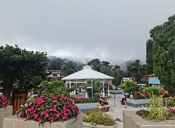 panama/chiriqui-highlands/attraction/domingo-medica-park