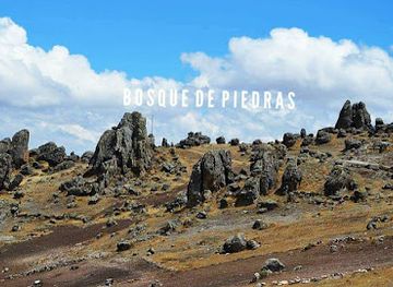 peru/puno-region/attraction/bosque-de-piedras-viudalumi
