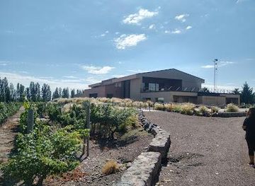argentina/mendoza/attraction/vistandes-winery-lodge