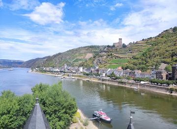 germany/rhine-valley/attraction/pfalzgrafenstein-castle