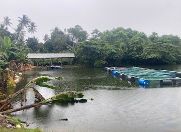 sri-lanka/mirissa/attraction/duck-lake-mirissa