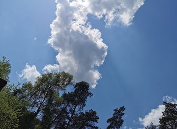 germany/teutoburg-forest/attraction/literarischer-wanderweg