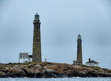 massachusetts/cape-ann/attraction/7-seas-whale-watch