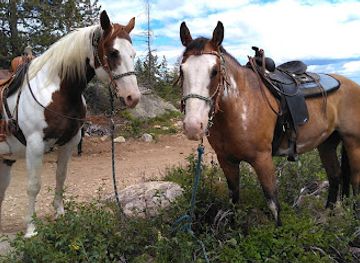 idaho/sandpoint/attraction/mountain-horse-adventures