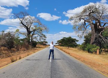 zambia/blue-lagoon-national-park/attraction/two-baobabs