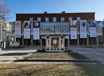 Földönjáró toronyóra