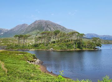 ireland/connemara-national-park/attraction/derryclare-nature-reserve