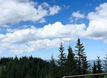 ukraine/hoverla-mountain/attraction/hoydalka