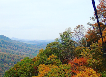 south-carolina/blue-ridge-mountains/attraction/the-gorge-zipline