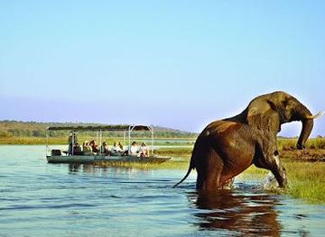 zambia/livingstone/attraction/united-safari-travel