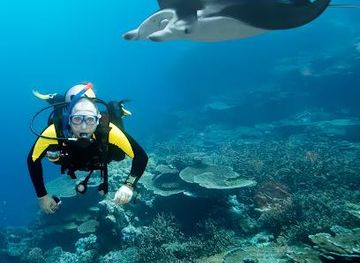 cabo-verde/sal-rei/attraction/santa-maria-dive-center