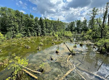 hungary/central-transdanubia/attraction/madarvarta