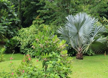 costa-rica/arenal-volcano-area/attraction/frog-pond
