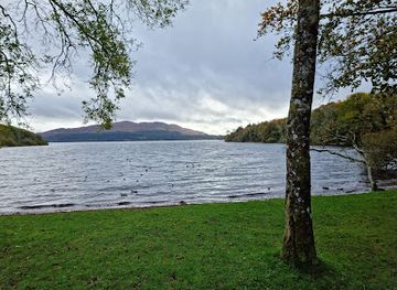 ireland/sligo/attraction/hazelwood-forest