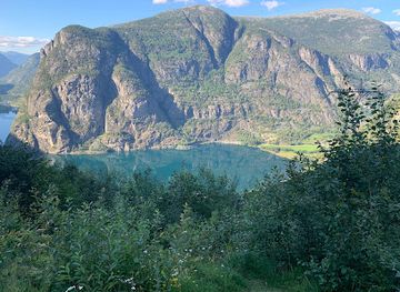 norway/voss/attraction/waterval-grimsetelevi
