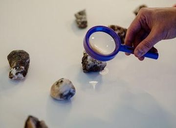 iceland/reykjavik/attraction/natturufraoistofa-kopavogs