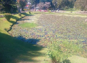 sri-lanka/nuwara-eliya-district/attraction/lotus-pond