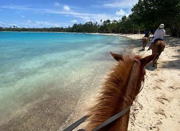 vanuatu/port-vila/attraction/club-hippique-adventure-park