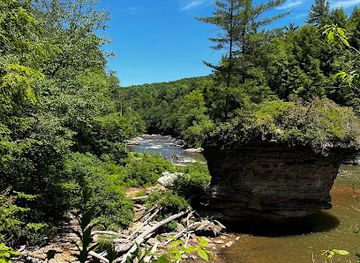 maryland/swallow-falls-state-park/attraction/swallow-falls-natural-area