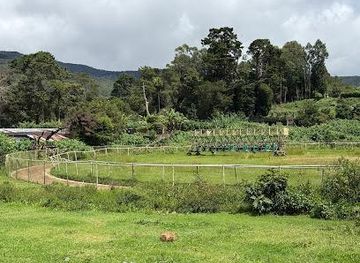 sri-lanka/kandy/attraction/royal-turf-club