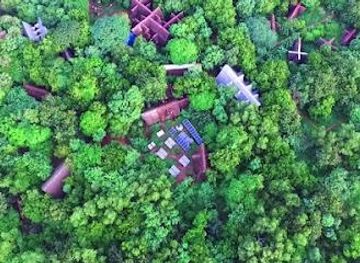 india/pondicherry/attraction/sadhana-forest