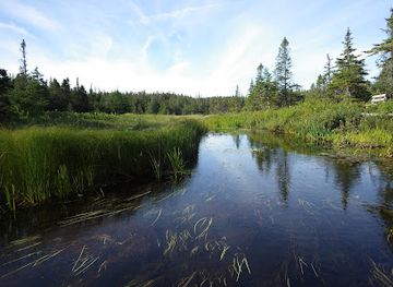 canada/avalon-peninsula/attraction/salmonier-nature-park