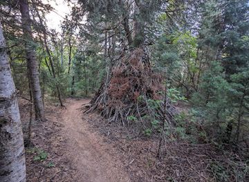 utah/uinta-wasatch-cache-national-forest/attraction/the-wooden-teepee-of-q-dub