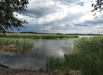 ukraine/kyiv-reservoir/attraction/dniprovsko-teterivskyy-zapovidnyk