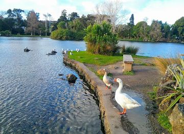 new-zealand/auckland/attraction/motat-museum-of-transport-and-technology