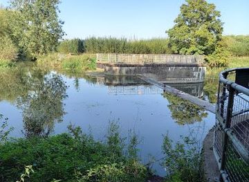 united-kingdom/cambridge/attraction/byron-s-pool-lnr