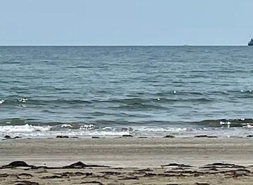 italy/venice/attraction/oasi-delle-dune-degli-alberoni