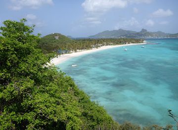 saint-vincent-and-the-grenadines/grenadines/attraction/palm-island