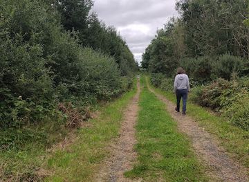 ireland/county-kildare/attraction/kildoon-woods