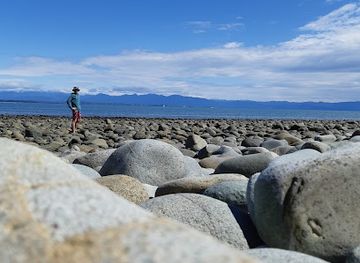 new-zealand/nelson/attraction/nelson-ferry