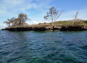 tanzania/northern-zone/attraction/kisite-mpunguti-marine-national-park
