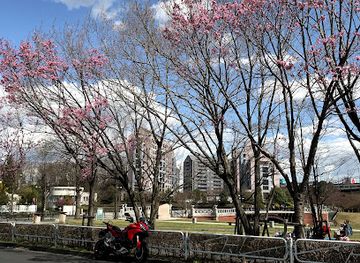 japan/mikawa/attraction/matsuki-park