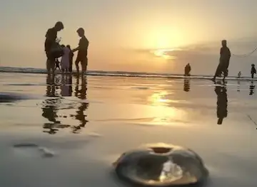 Seaview beach