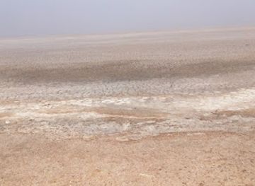 india/rann-of-kutch/attraction/road-to-heaven-rann
