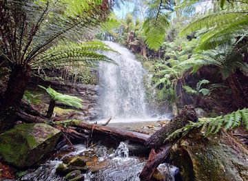 australia/tasmania/attraction/honor-falls