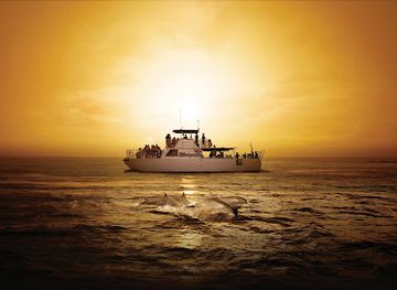 guam/mount-jumullong-manglo/attraction/guam-sunset-cruise-dinner-dolphin-watching