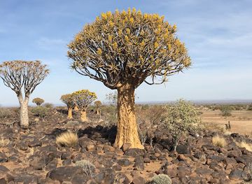 namibia/okahandja/attraction/panache-photographic-safaris-africa