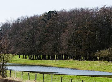 belgium/knokke-heist/attraction/zwindunes-et-polders