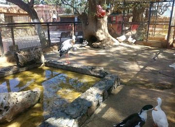 algeria/oran-region/attraction/oran-zoo