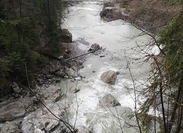 austria/dornbirn/attraction/riesen-zypresse