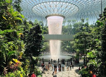 singapore/changi/attraction/shiseido-forest-valley-jewel-changi-airport